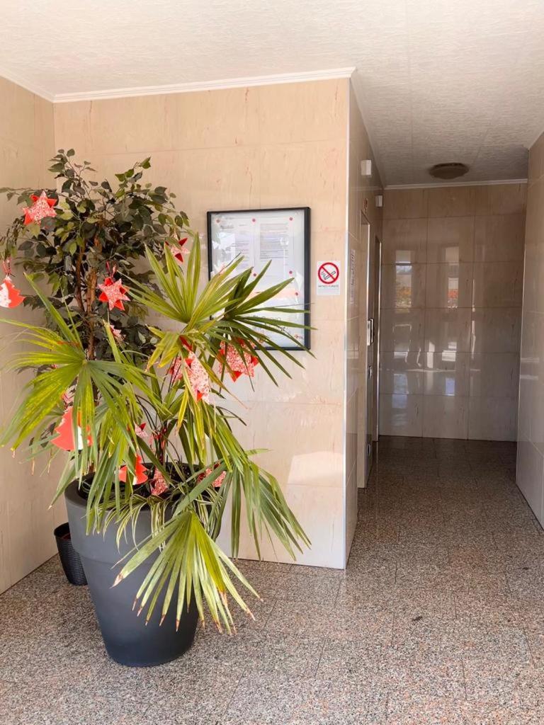 Coco Apartment Bergamo Dış mekan fotoğraf